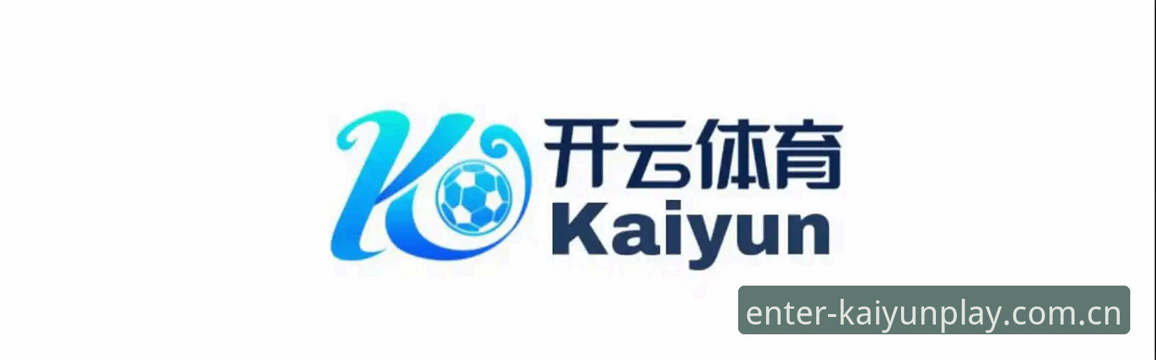 开云体育多元玩法对比详解——新手入门全攻略